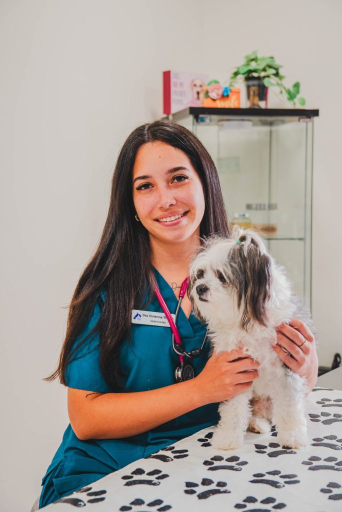Dra. Vivienne Tromp, veterinarian at Animal Care Clinic Aruba, with a small dog on the exam table