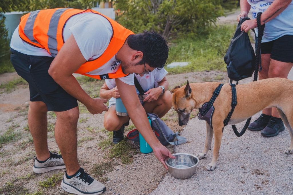 Volunteer giving water to a dog during the Animal Care Clinic Aruba Fun Walk