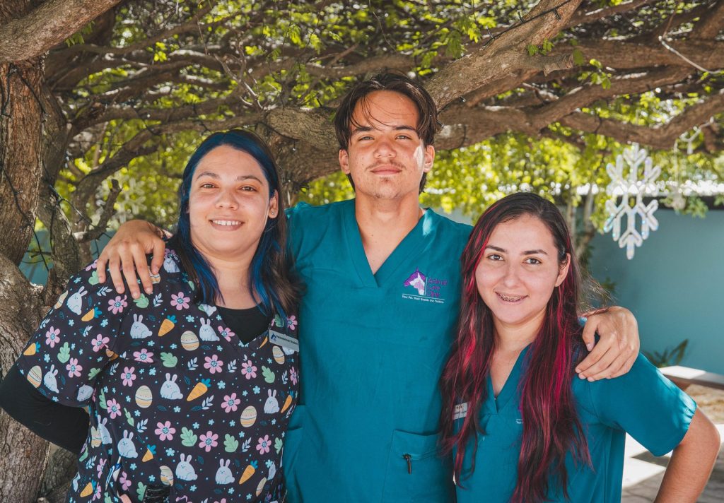 Paraveterinary students training at Animal Care Clinic Aruba